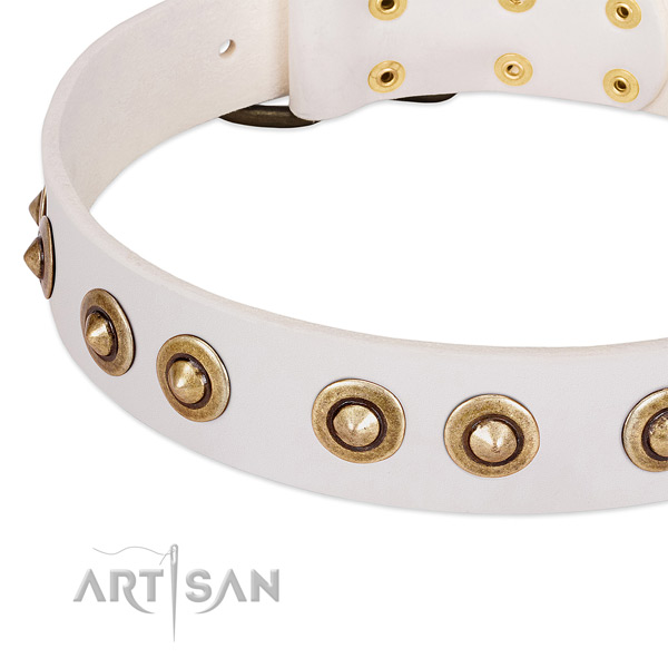 Rust resistant embellishments on full grain genuine leather dog collar for your canine
