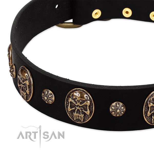 Corrosion proof buckle on full grain natural leather dog collar for your doggie