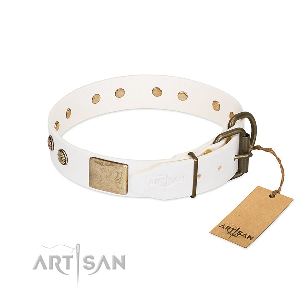 Corrosion proof decorations on basic training dog collar
