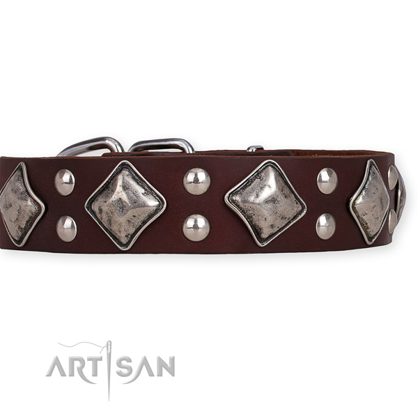 Full grain natural leather dog collar with inimitable corrosion proof decorations