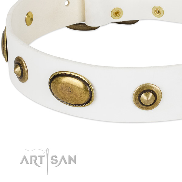 Rust resistant adornments on full grain leather dog collar for your dog
