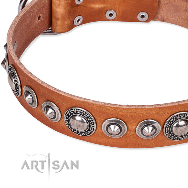 Daily use studded dog collar of top quality full grain natural leather