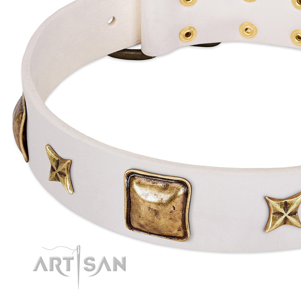 Durable fittings on leather dog collar for your dog