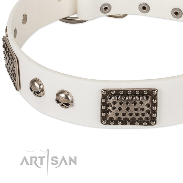 Corrosion proof fittings on natural genuine leather dog collar for your canine