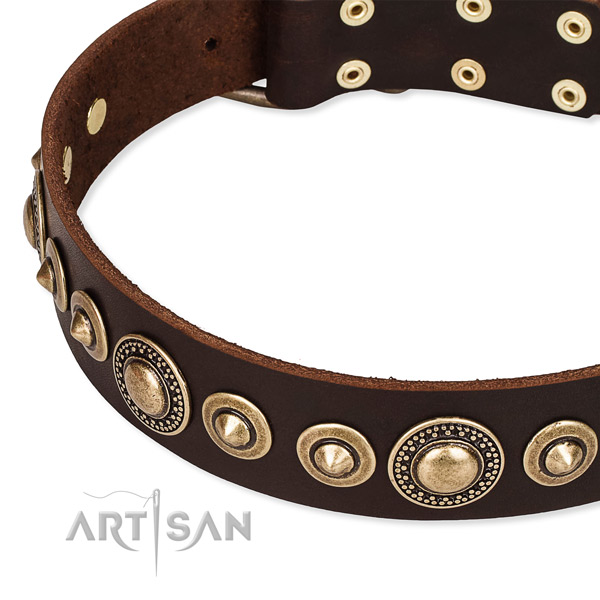 Top rate leather dog collar crafted for your stylish four-legged friend