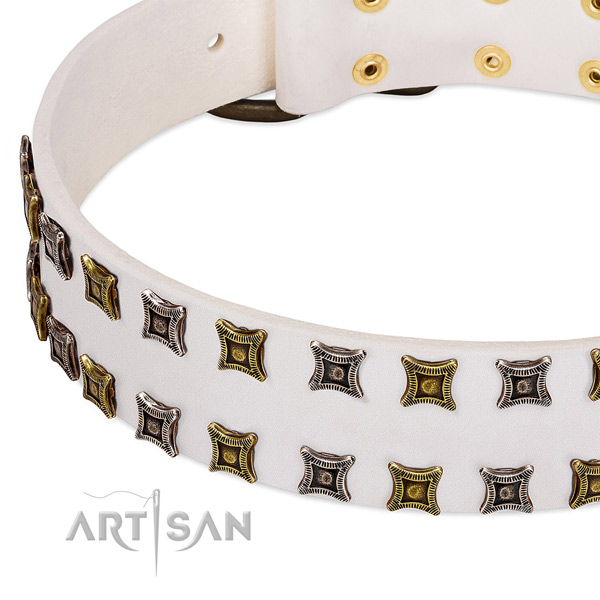 Full grain genuine leather dog collar with adornments for your impressive canine