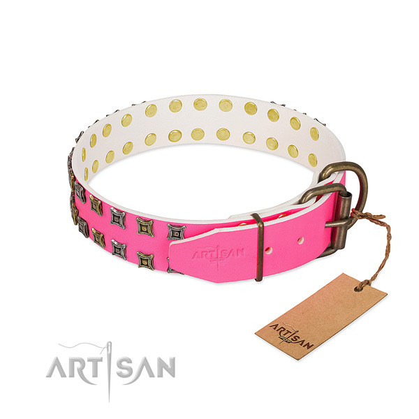 Full grain genuine leather collar with amazing studs for your four-legged friend
