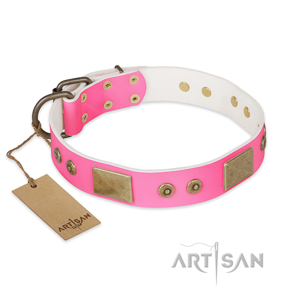 Easy adjustable genuine leather dog collar for walking your doggie