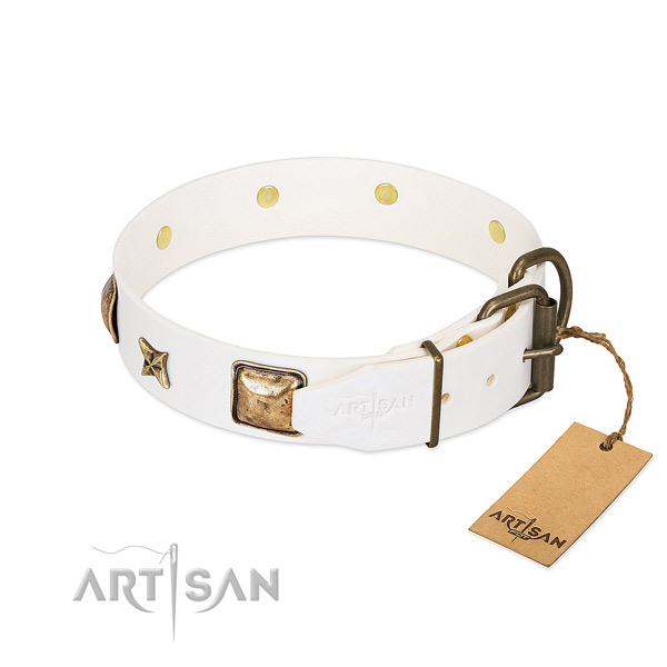 Full grain leather dog collar with durable buckle and decorations