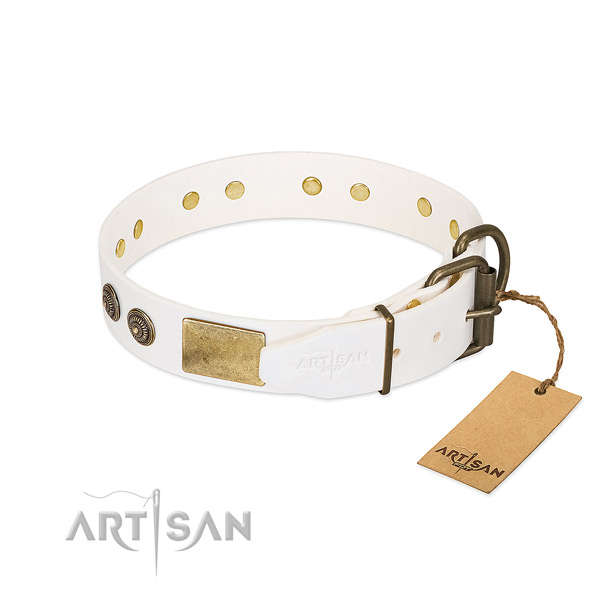 Rust-proof traditional buckle on full grain genuine leather collar for basic training your doggie