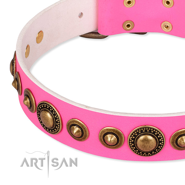 High quality full grain natural leather dog collar crafted for your attractive canine