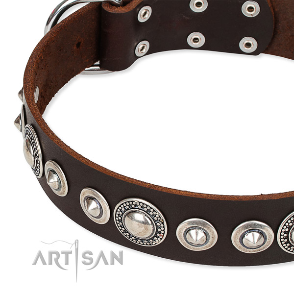 Easy wearing studded dog collar of reliable full grain natural leather