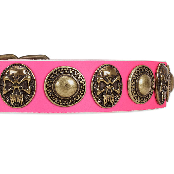Reliable embellishments on leather dog collar for your pet