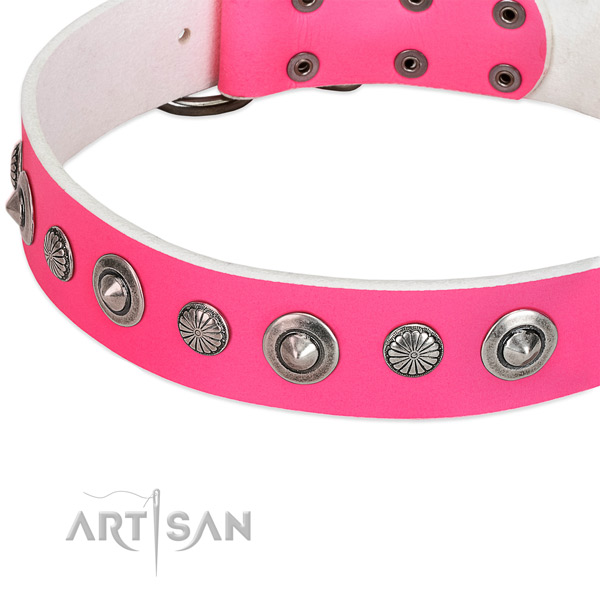 Genuine leather collar with reliable fittings for your stylish four-legged friend