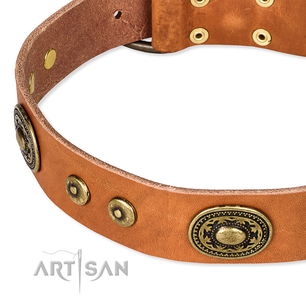 Full grain genuine leather dog collar made of soft to touch material with decorations