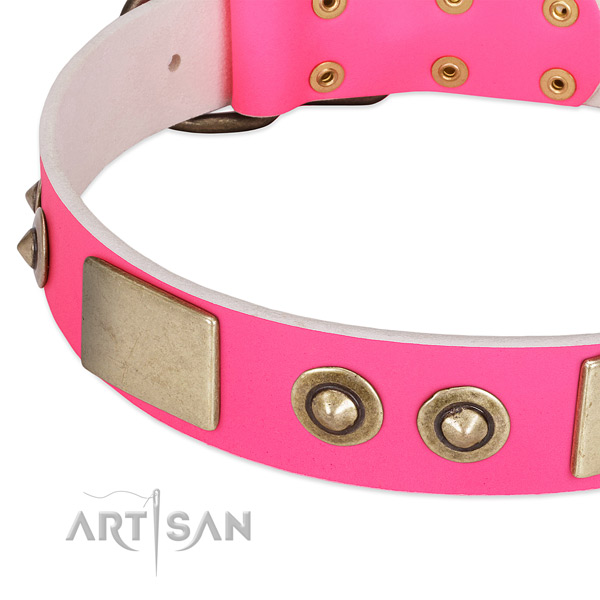 Corrosion proof studs on full grain natural leather dog collar for your pet