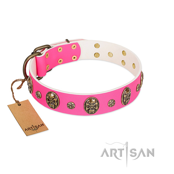 Embellished leather dog collar for everyday use