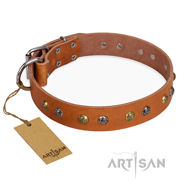 Everyday use easy to adjust dog collar with corrosion resistant traditional buckle