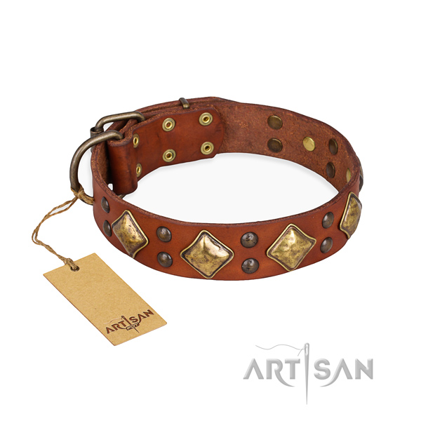 Fancy walking embellished dog collar with rust resistant traditional buckle