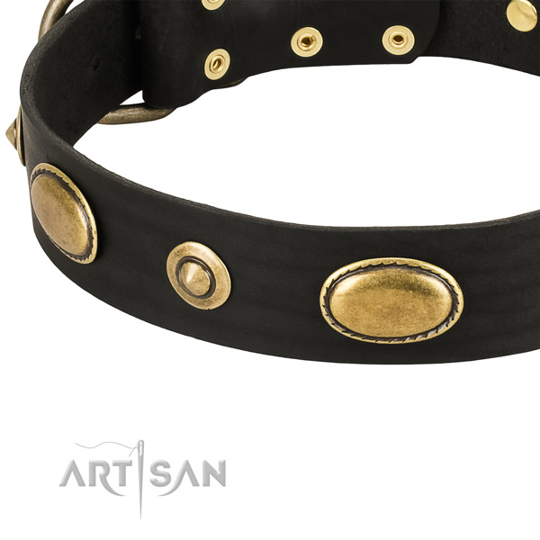 Strong adornments on natural leather dog collar for your dog