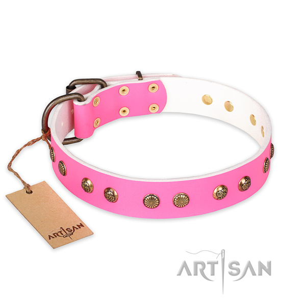 Studded full grain genuine leather dog collar with corrosion resistant traditional buckle