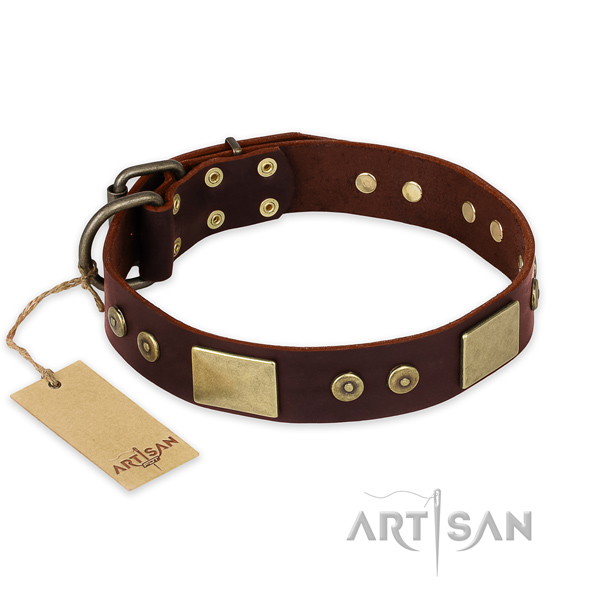 Awesome leather dog collar for stylish walking