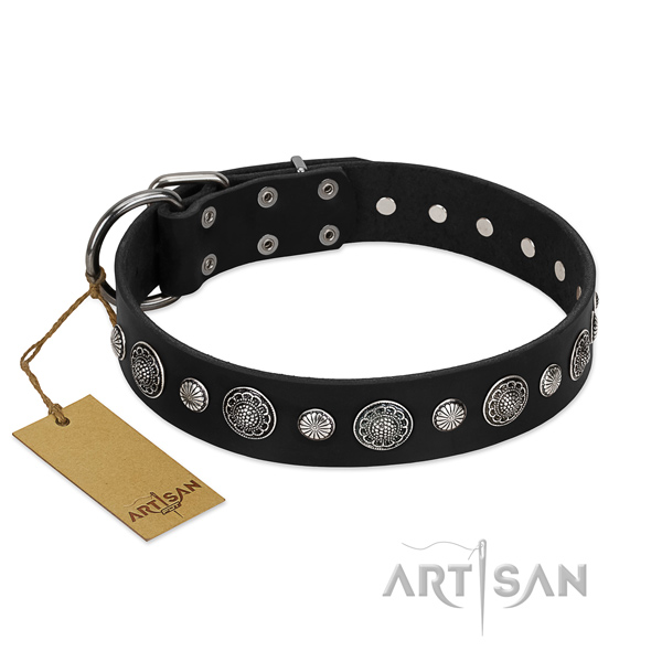 Reliable leather dog collar with top notch decorations