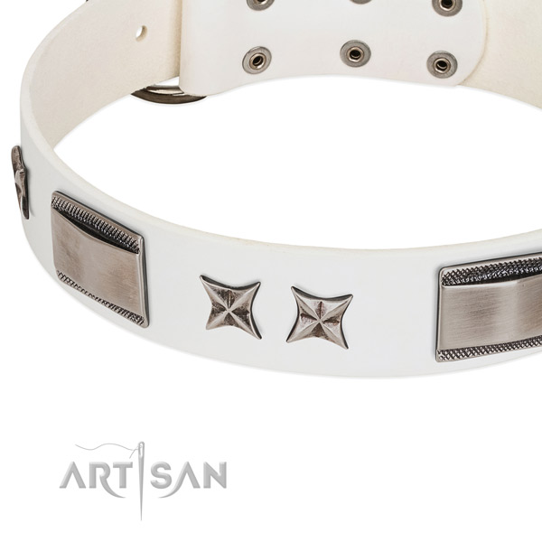 Soft full grain leather dog collar with corrosion resistant fittings