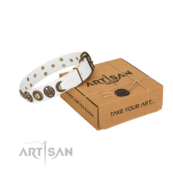 Durable embellishments on dog collar for everyday use