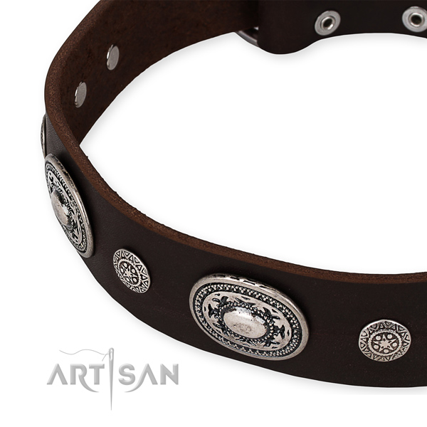 High quality full grain leather dog collar handmade for your lovely four-legged friend