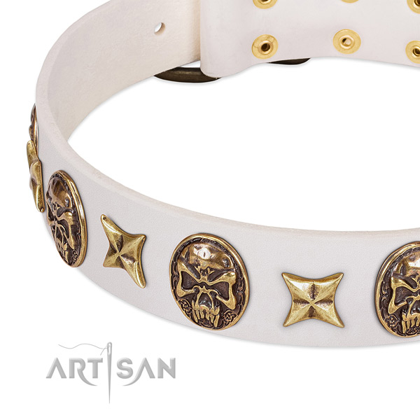 Decorated dog collar handcrafted for your impressive pet