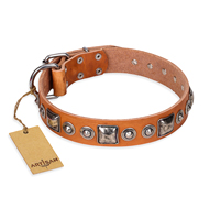 "Era of Future" FDT Artisan Handcrafted Tan Leather Belgian Malinois Collar with Decorations