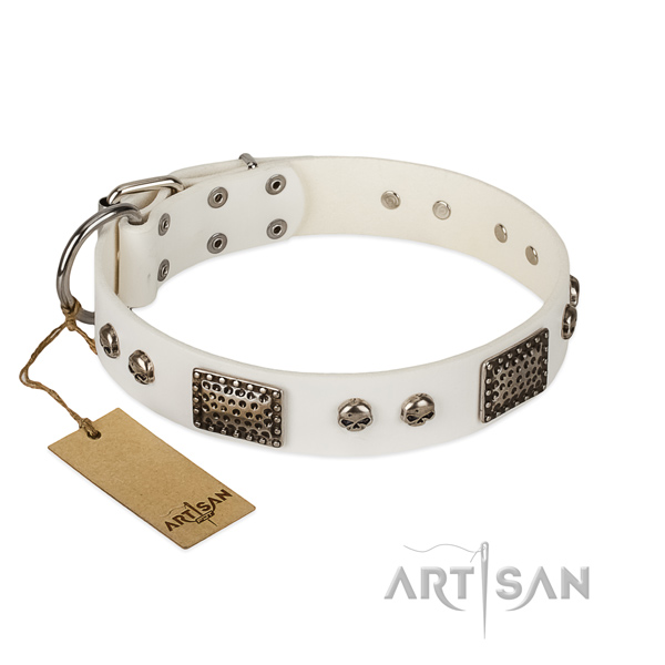 Adjustable natural genuine leather dog collar for walking your dog