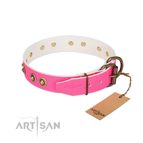 Full grain leather dog collar with reliable buckle and decorations