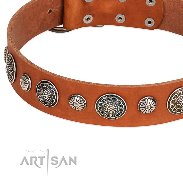 Leather collar with rust resistant fittings for your attractive dog