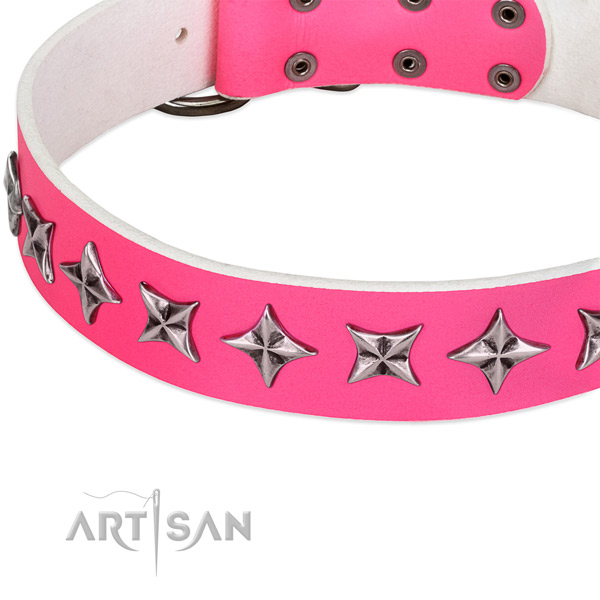 Comfy wearing adorned dog collar of high quality natural leather