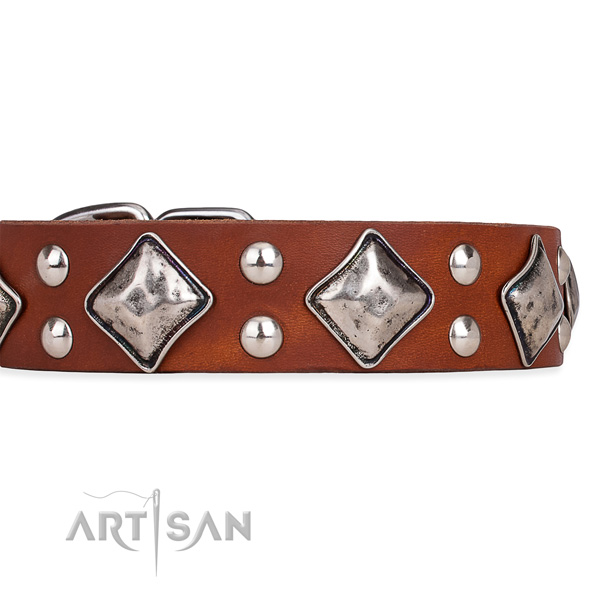 Full grain natural leather dog collar with unusual durable adornments