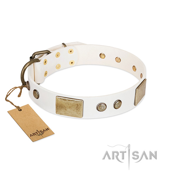 Easy adjustable full grain leather dog collar for daily walking your four-legged friend