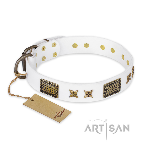 Adjustable full grain natural leather dog collar with strong fittings