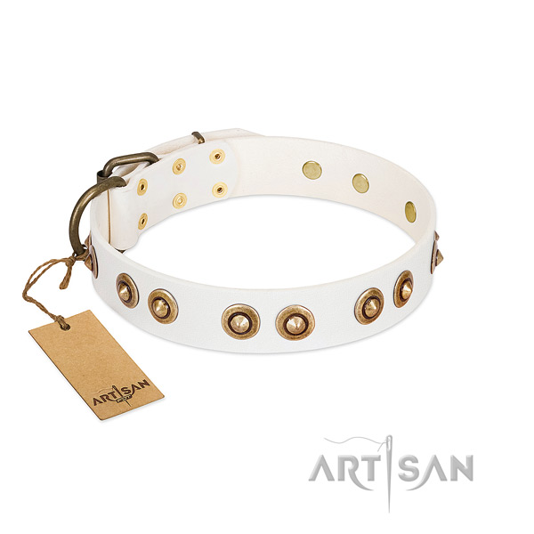 Exceptional full grain leather collar for your dog