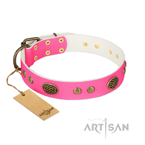 Reliable embellishments on natural leather dog collar for your pet