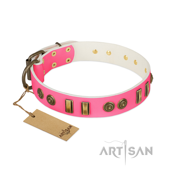 Best quality natural leather collar for your dog