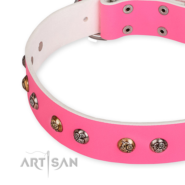 Full grain leather dog collar with unique corrosion resistant embellishments