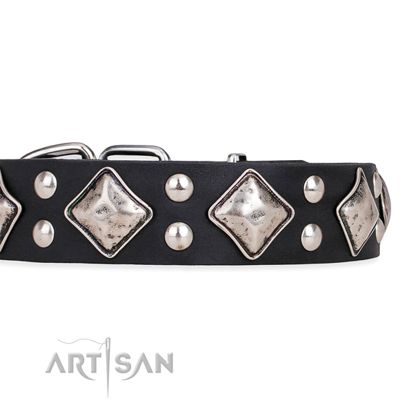 Full grain leather dog collar with unique corrosion resistant embellishments