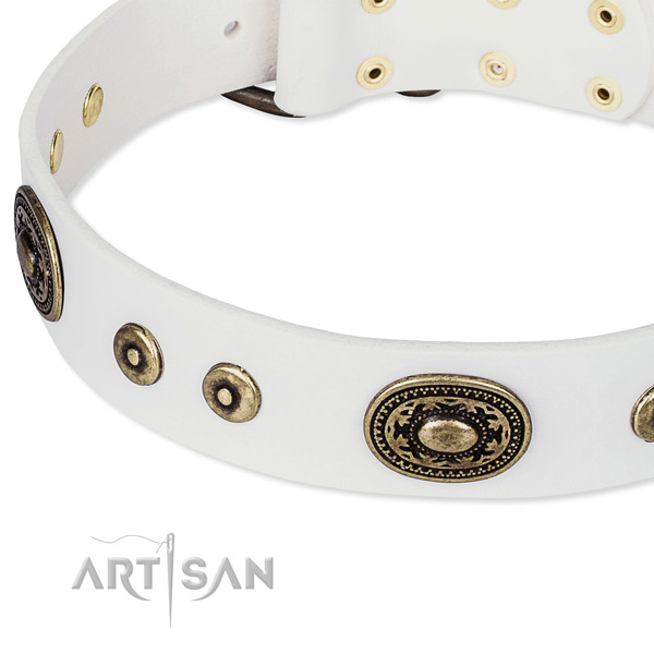 Leather dog collar made of high quality material with embellishments