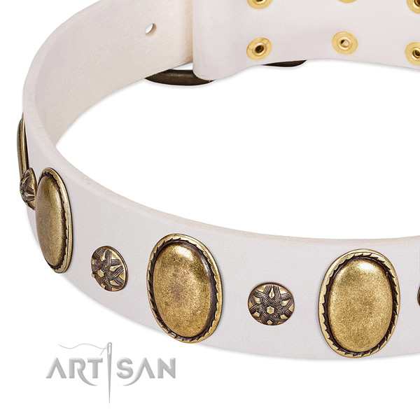 Everyday walking best quality leather dog collar with decorations