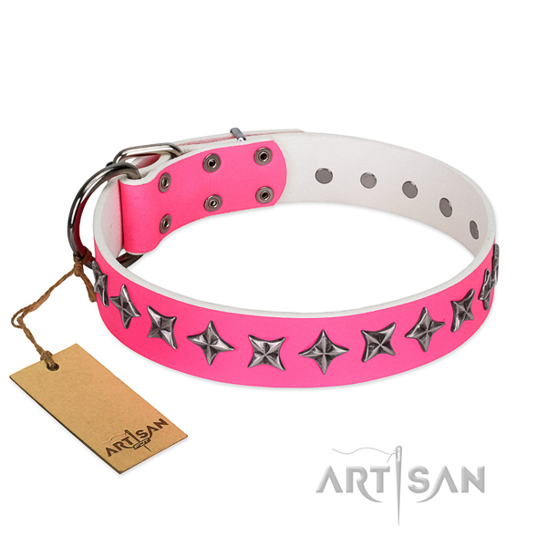 Top notch natural leather dog collar with unique adornments