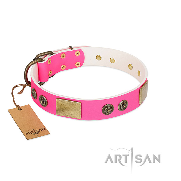 Significant full grain natural leather dog collar for comfy wearing