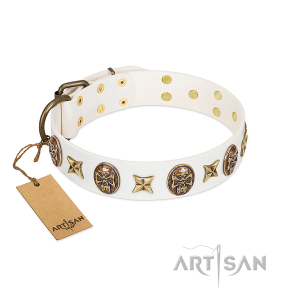 Stunning leather dog collar for stylish walking