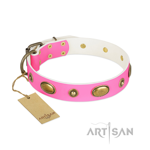 Incredible natural leather collar for your doggie